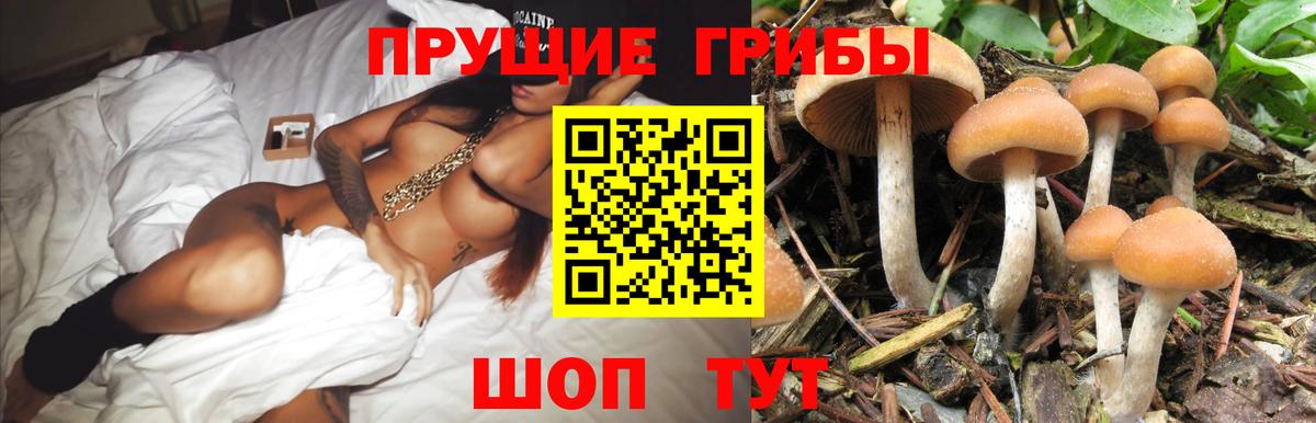 Галлюциногенные грибы ЛСД Дивногорск